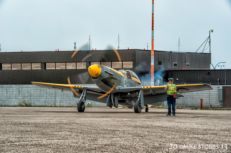 P51017