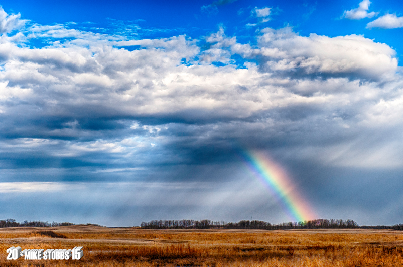 Springs First Rainbow