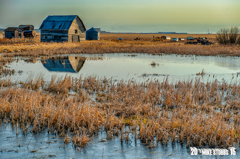 Morning Reflections