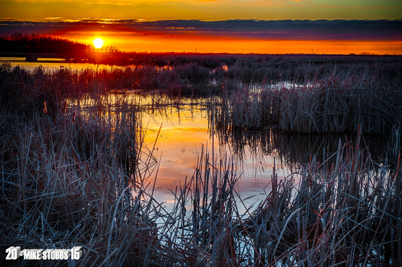 Sunrise On The Pond