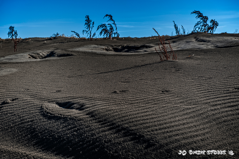 Dirt Dunes