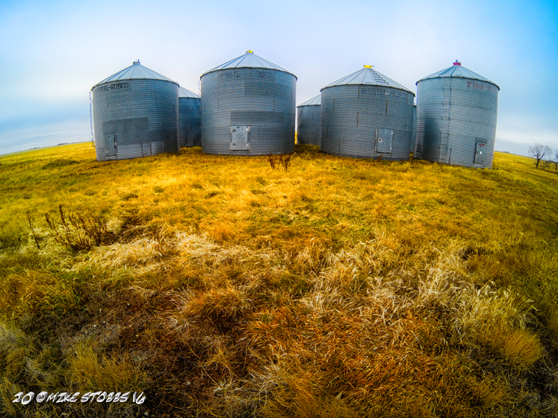 Bin Taken By a GoPro