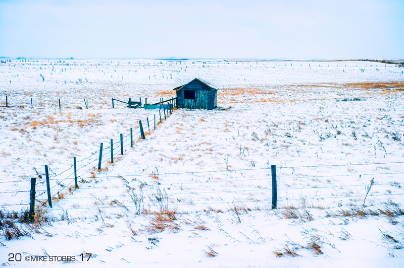 Down The Fence line