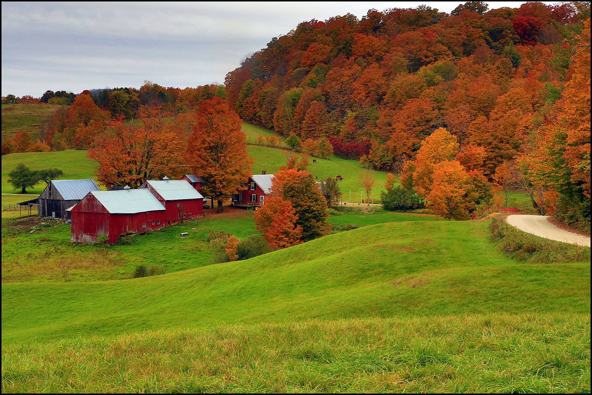 Jenne Farm