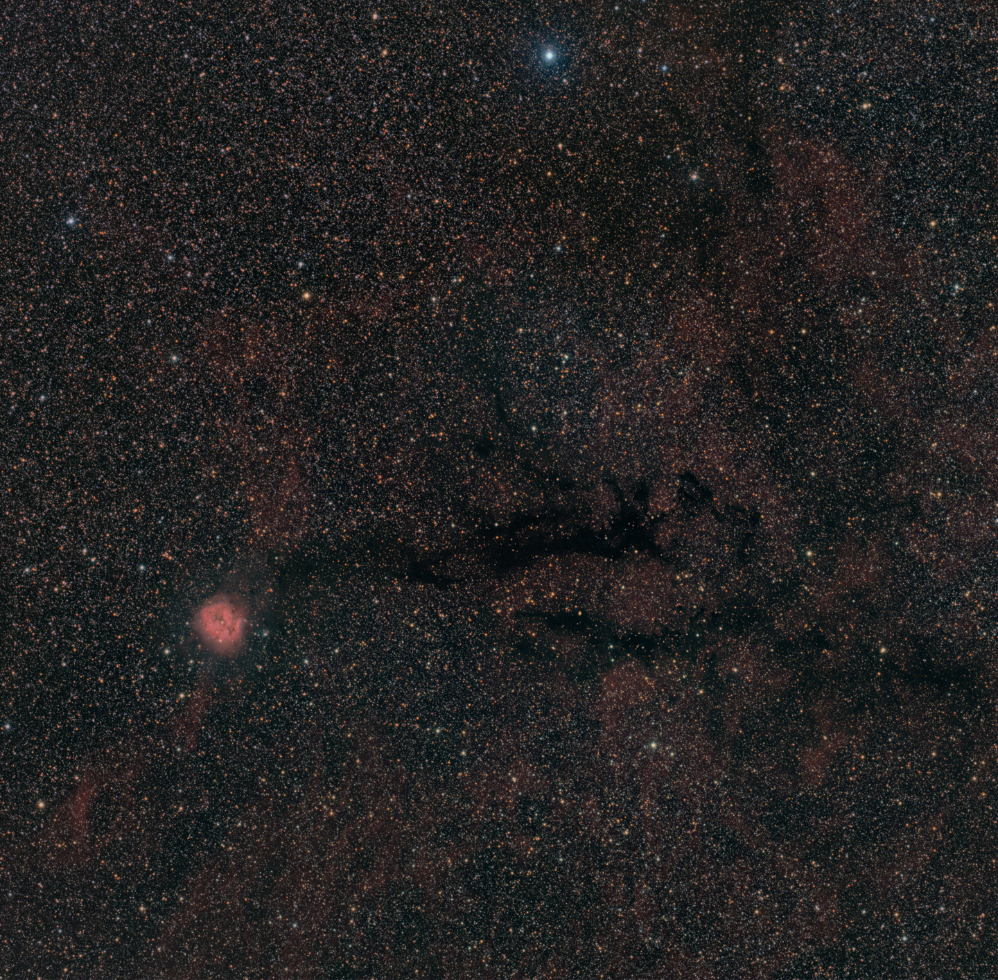 Cocoon Nebula