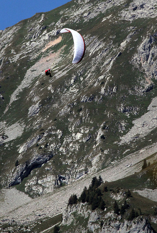 Paraglider