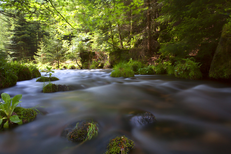 Une riviere en Alsace