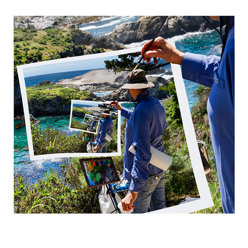 Point Lobos Painter