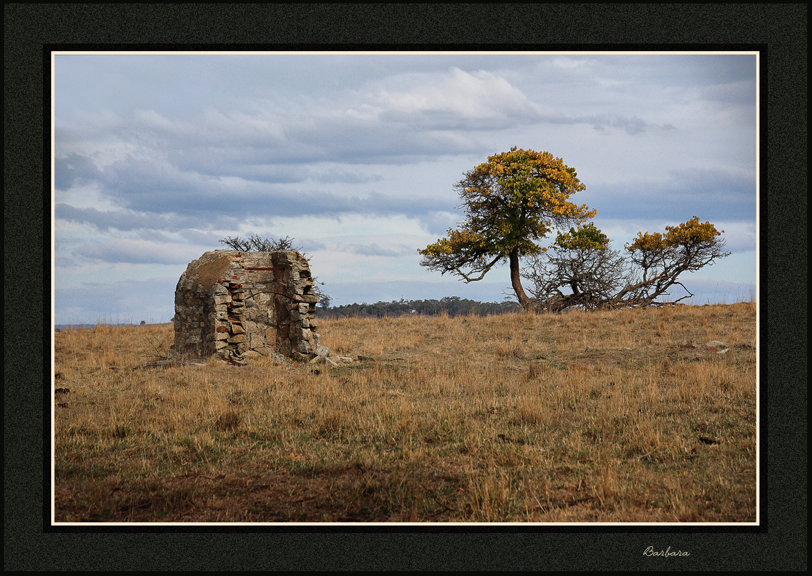 Still standing