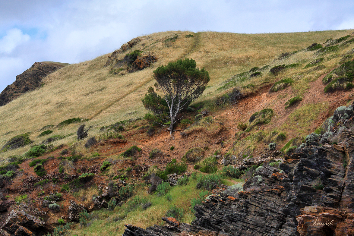 Second Valley