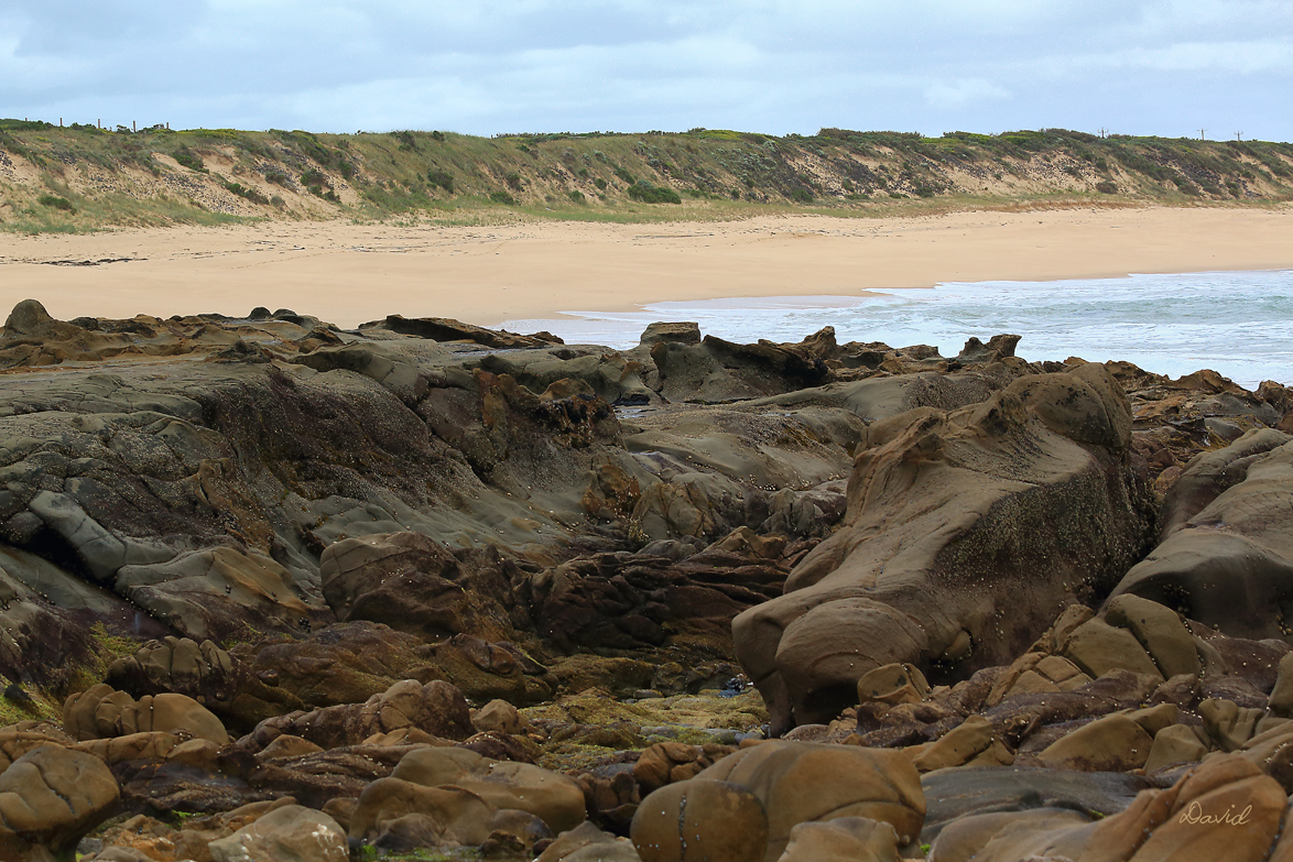 Kilcunda Beach Shoreline