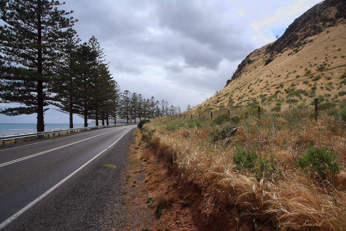 Lady Bay 