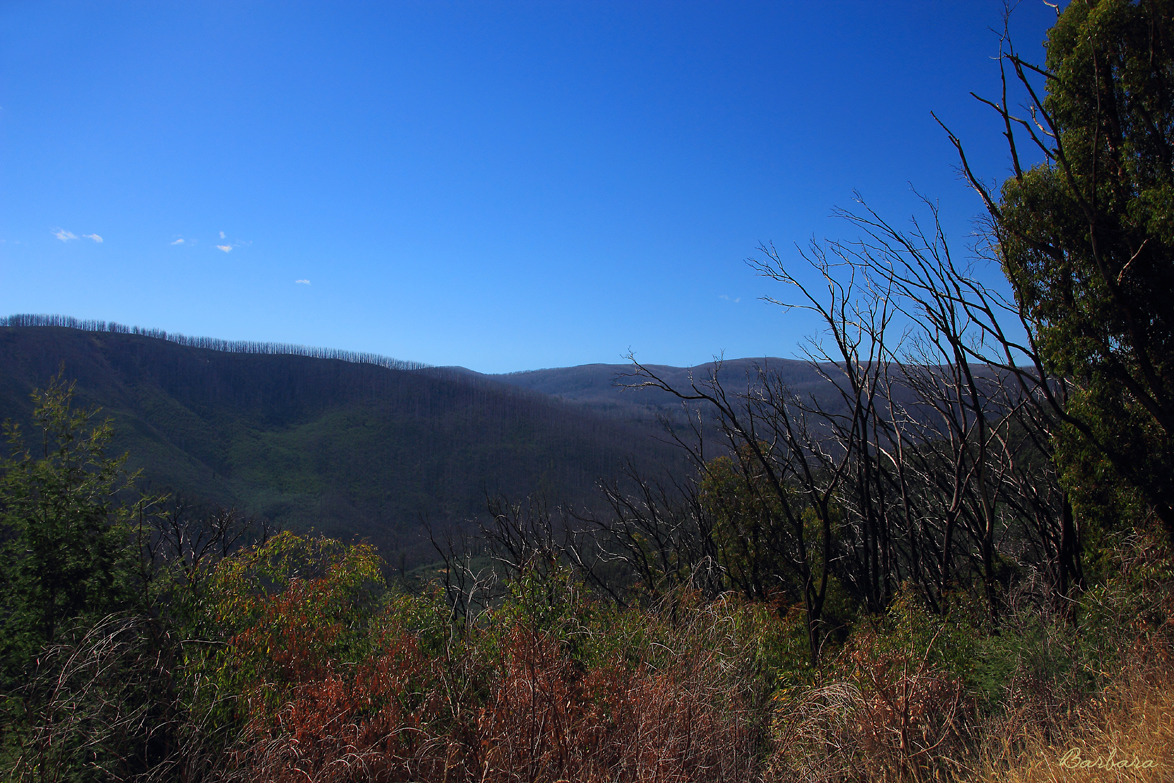 Nicholl Lookout - Marysville