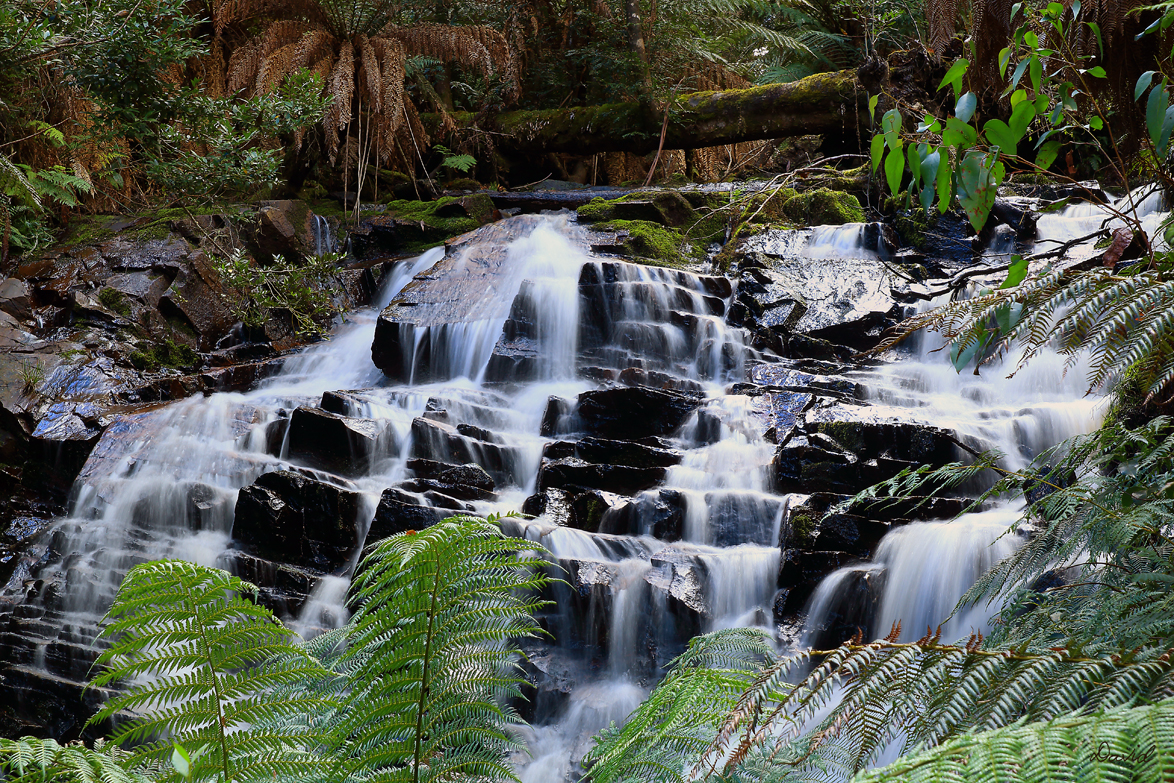 Cora Lynn Falls 