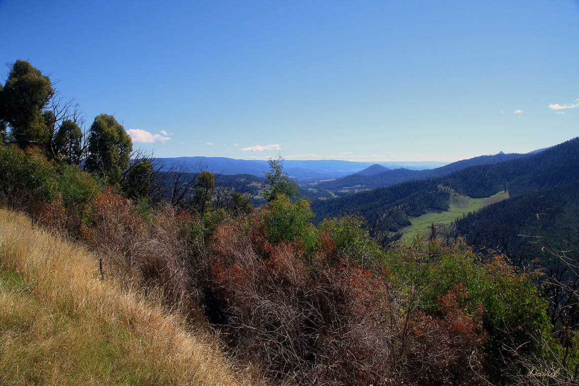 Nicholl Lookout - Marysville