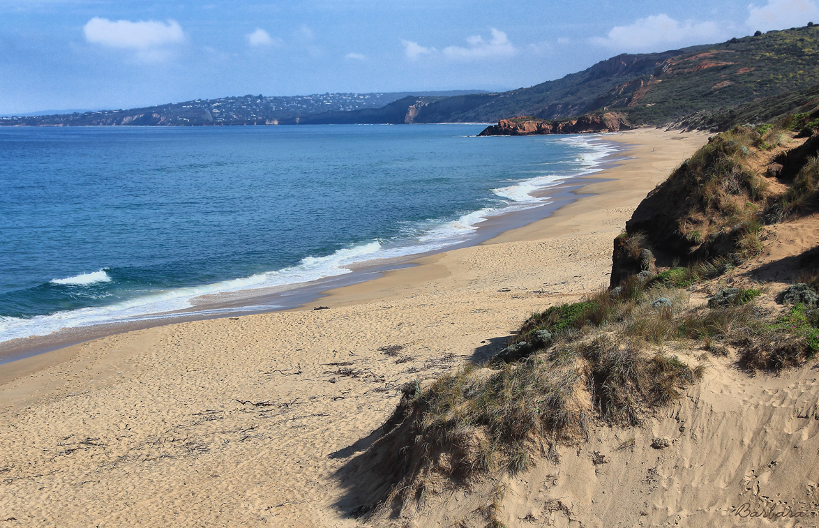 Point Addis Beach