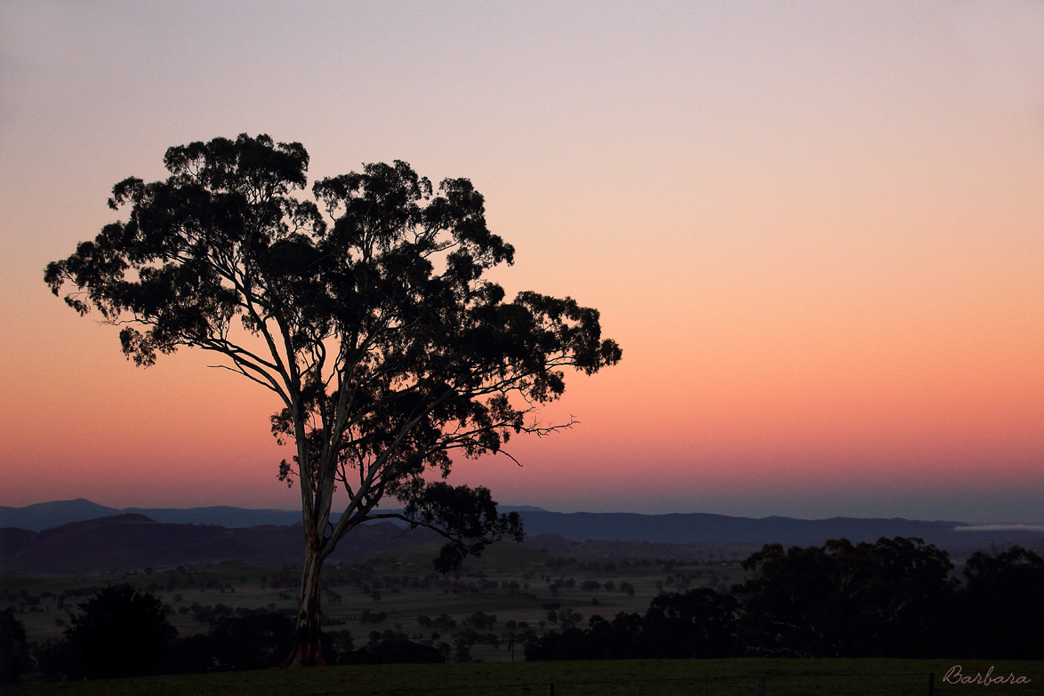Sunrise in the High Country