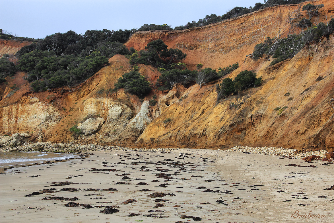 Point Addis