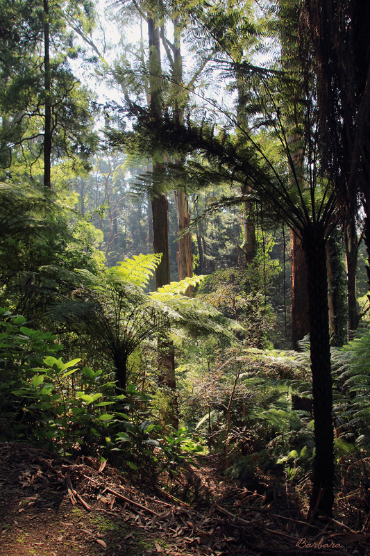Alfred Nicholas Gardens