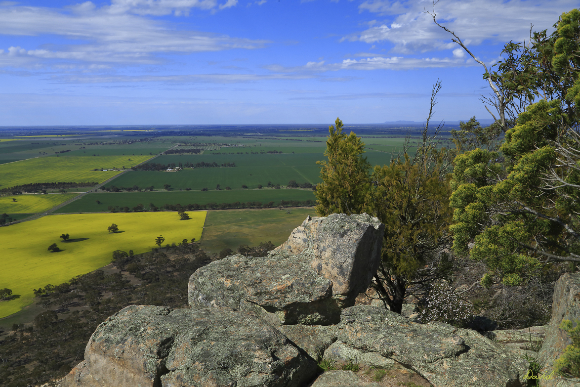 View from the top