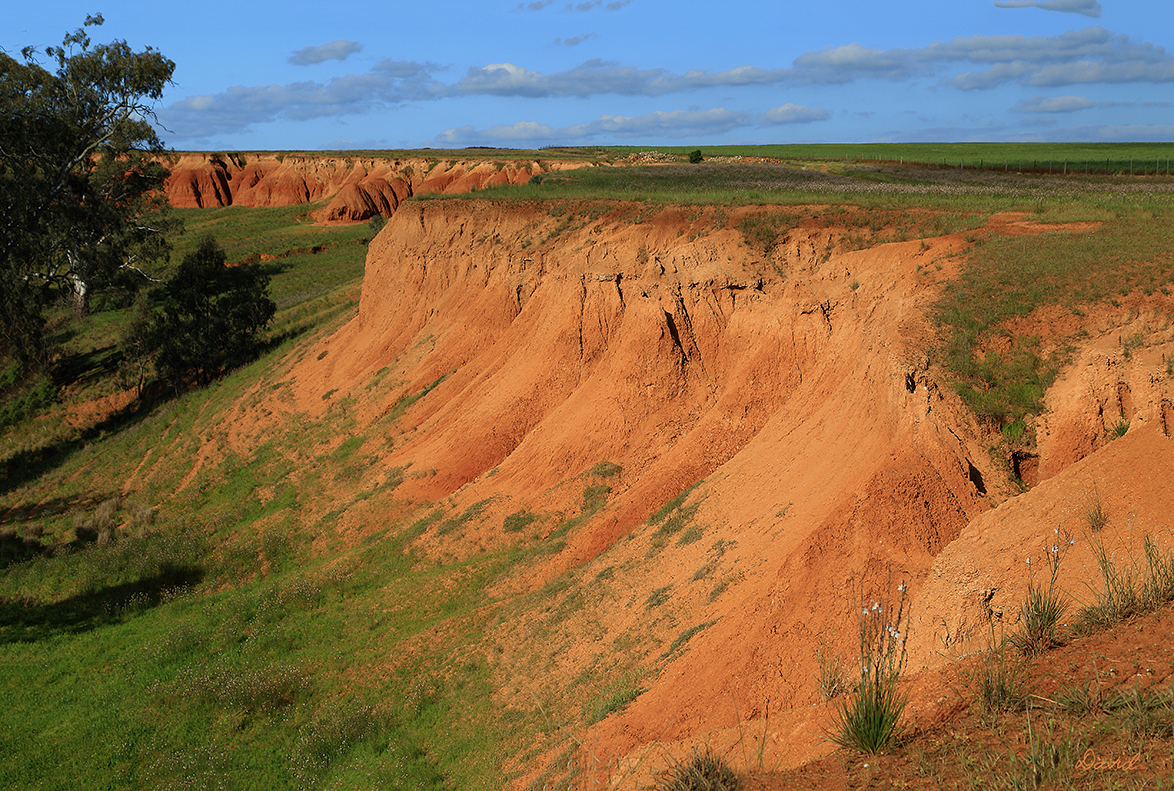 Red Banks
