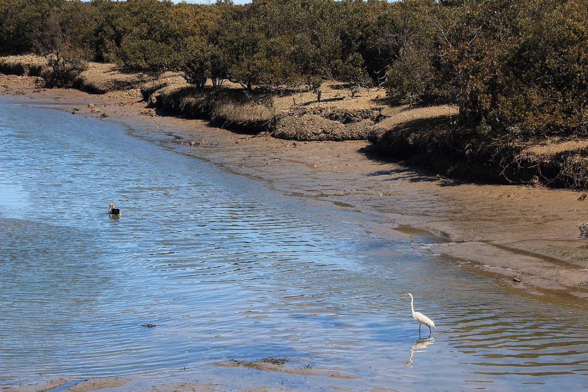 Port Wakefield Low Tide
