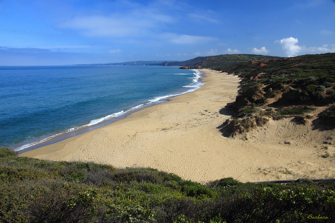 Point Addis Beach