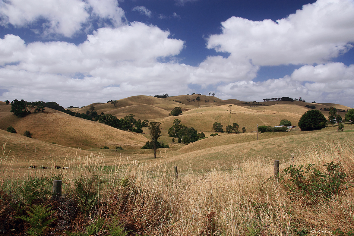 Scenic Korumburra