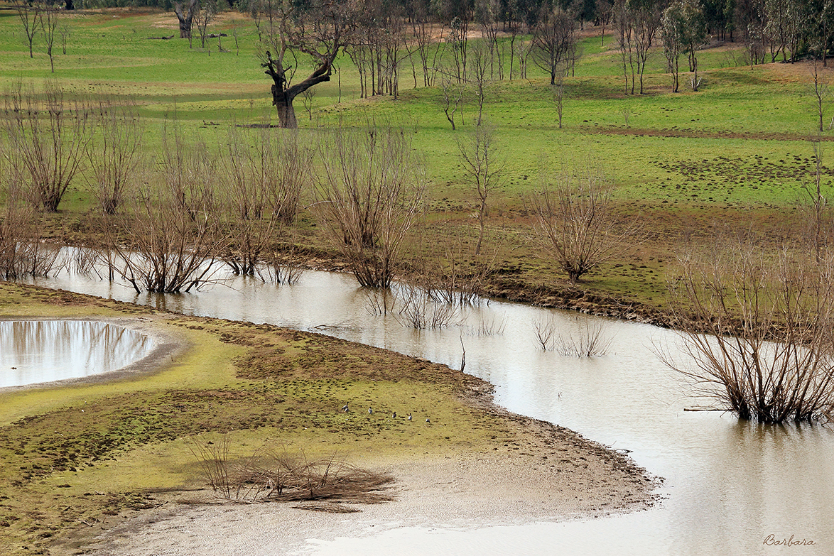Brankeet Inlet, Bonnie Doon