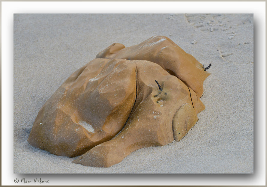 sur la plage de Wissant