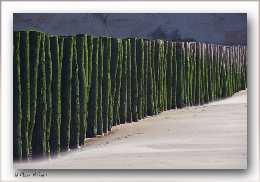 sur la plage de Wissant  -  Pas de Calais