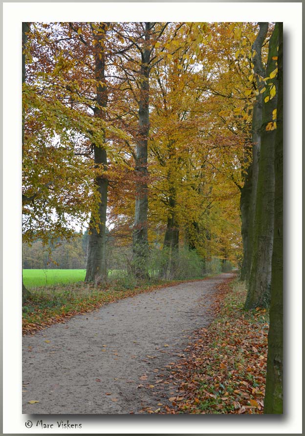 Heverlee Zoete Waters