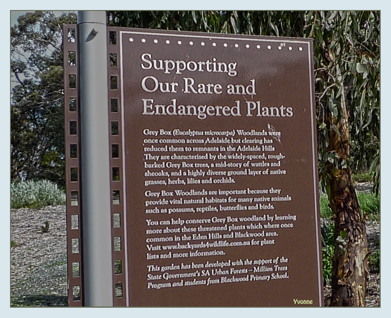 Close-up of Sign