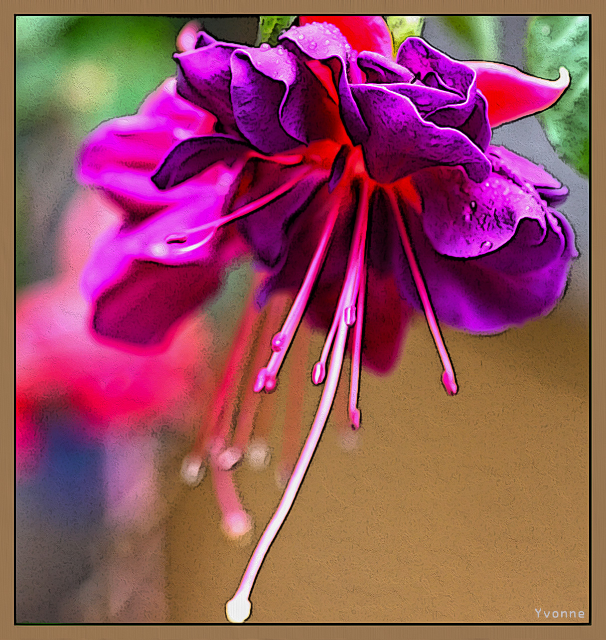 Fuchsia