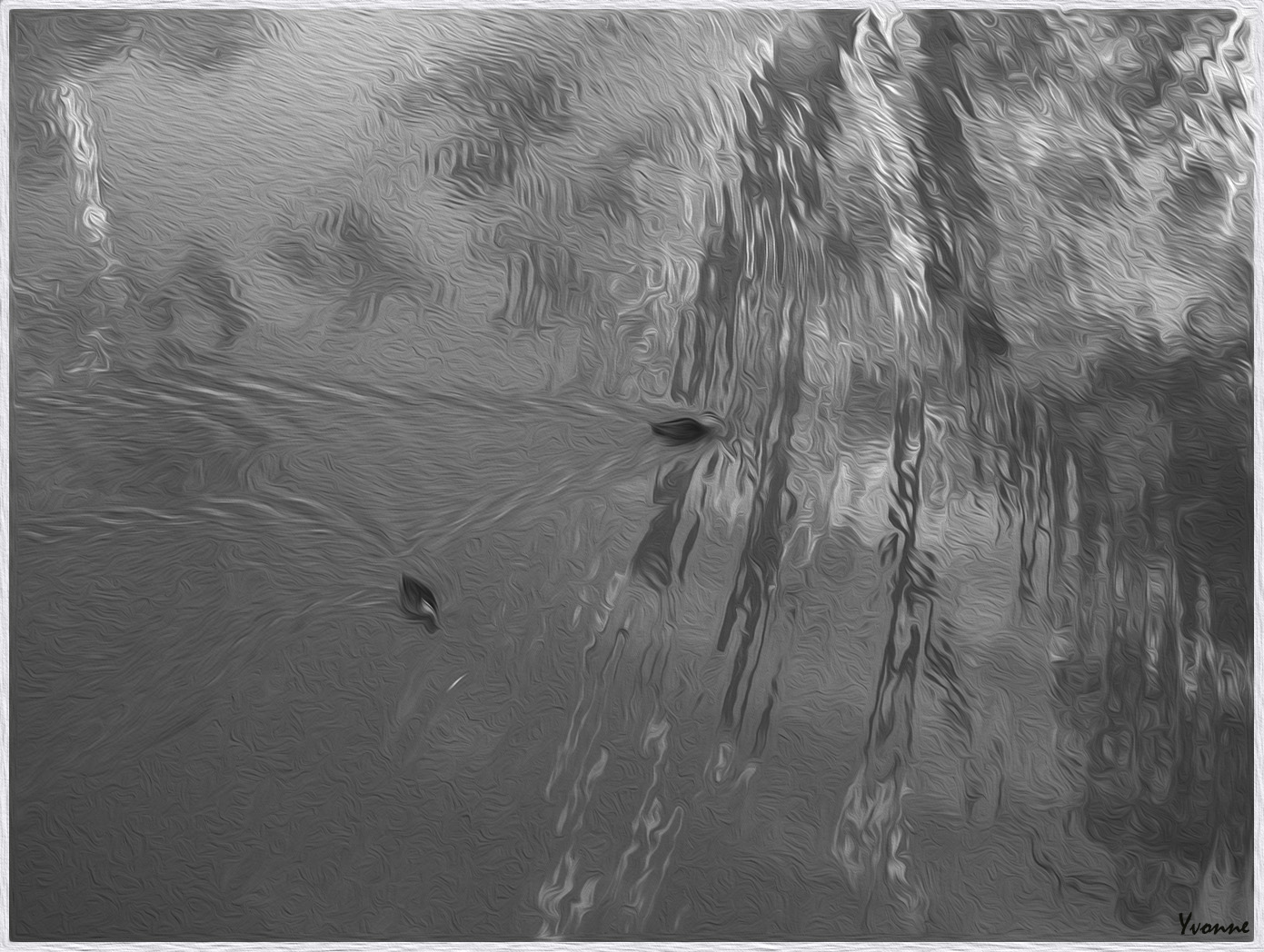 Pond ripples