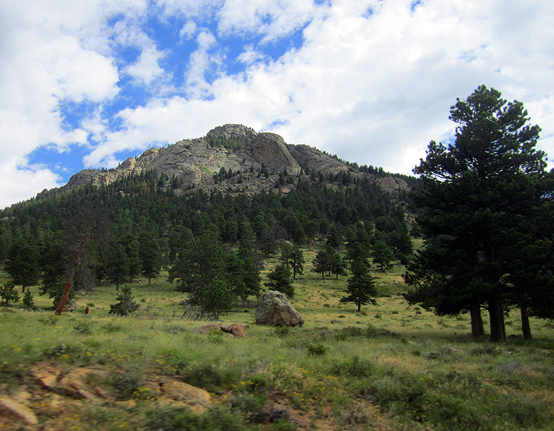 IMG_1386.jpg