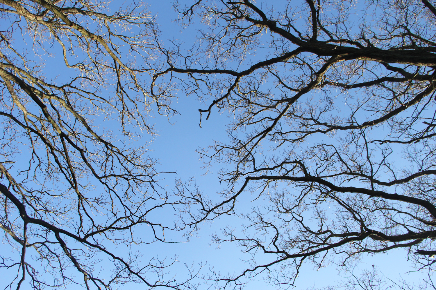 overarching