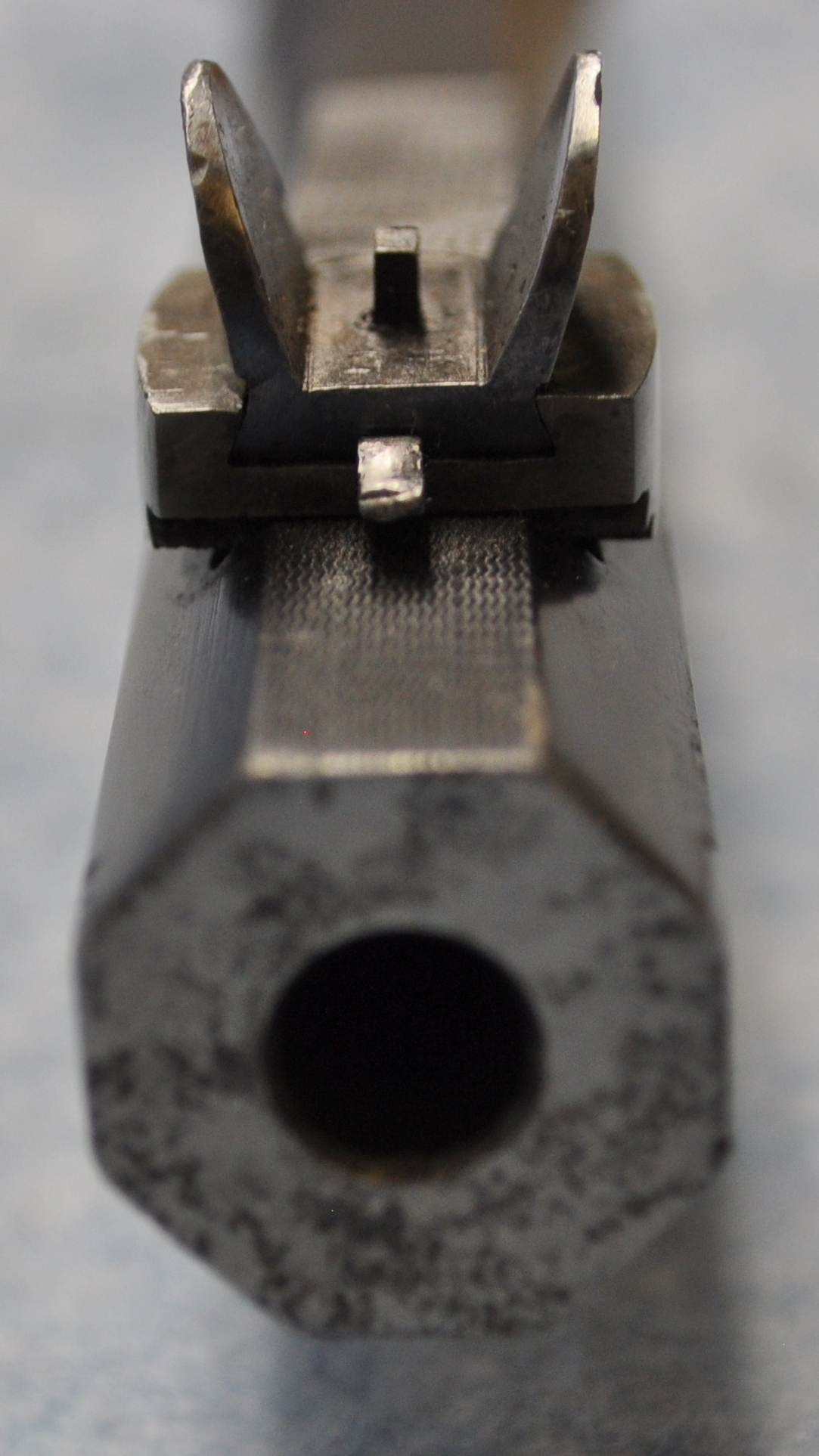 Front Sight & Muzzle