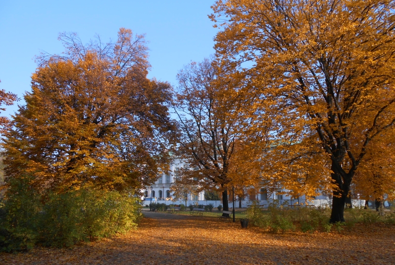 Krasinskich Park, Warsaw
