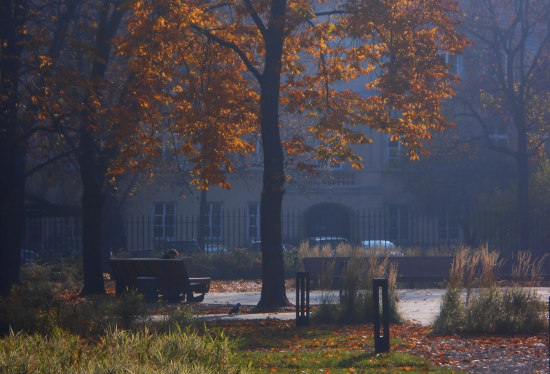 Krasinskich Park, Warsaw