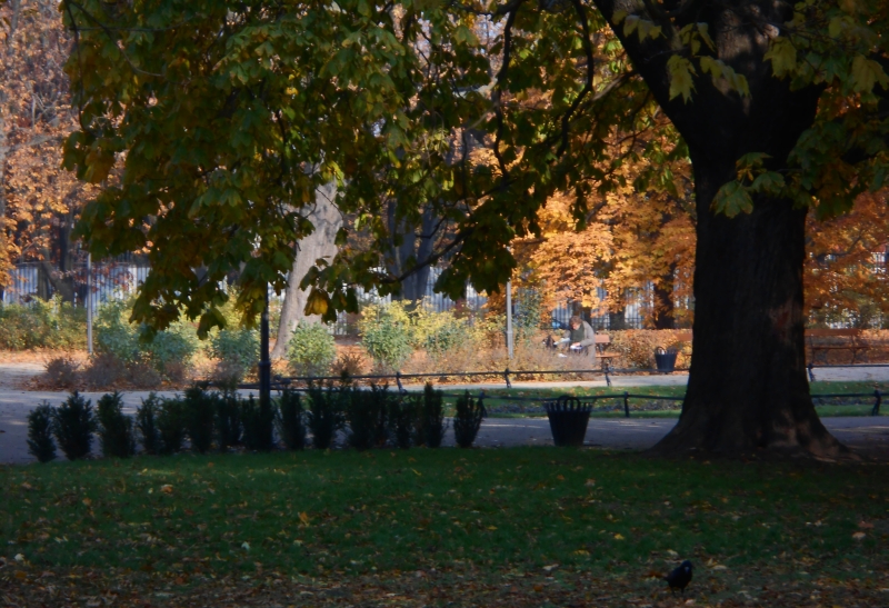 Krasinskich Park, Warsaw