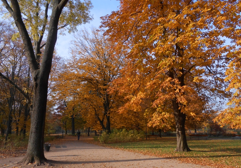Krasinskich Park, Warsaw
