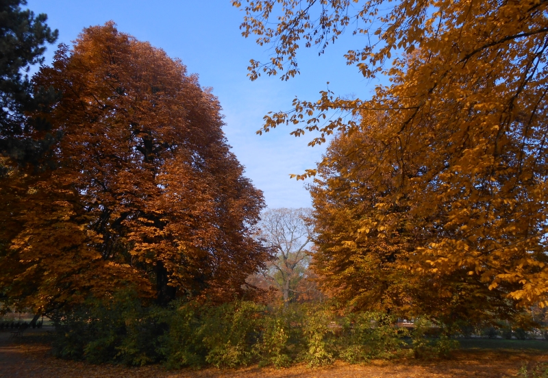Krasinskich Park, Warsaw