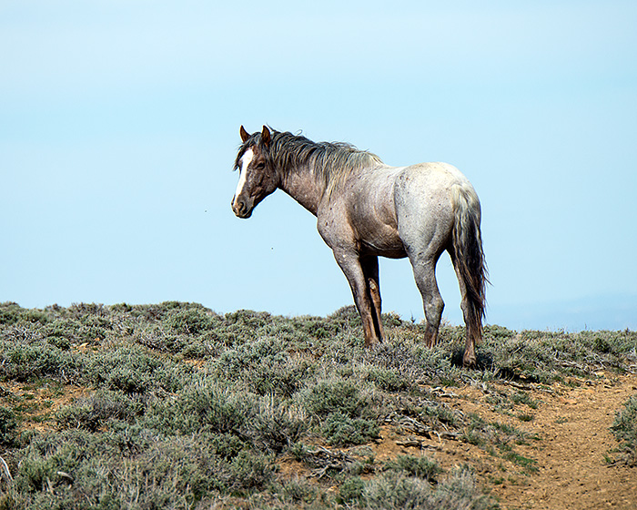 BLA_5909.web.jpg