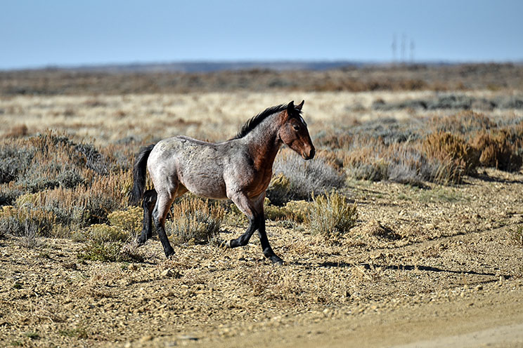 DSC_0103.jpg
