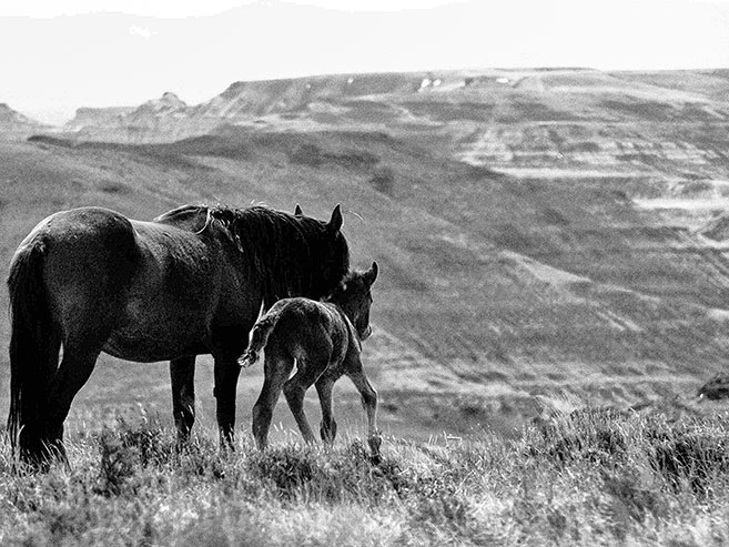 P3210047_0611.jpg