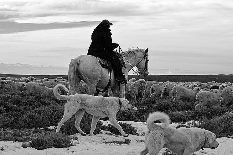 2014-12-12 .2bw..jpg
