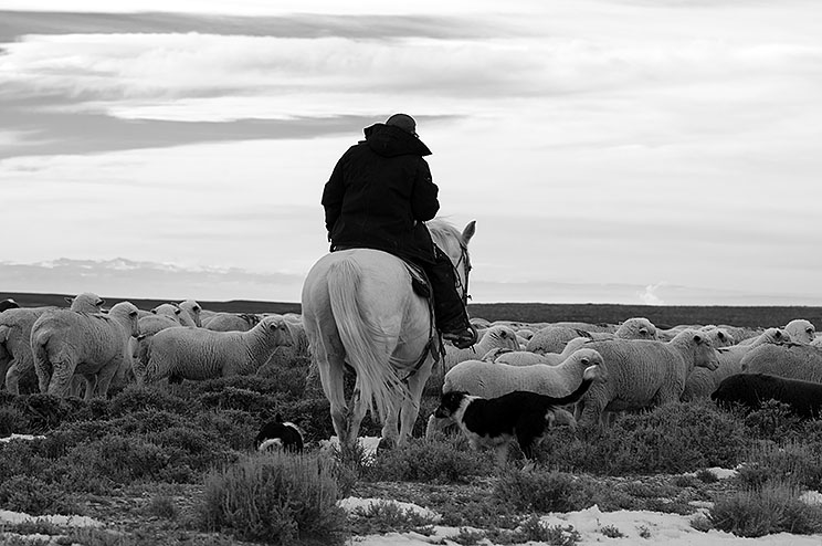 2014-12-12 bw..jpg