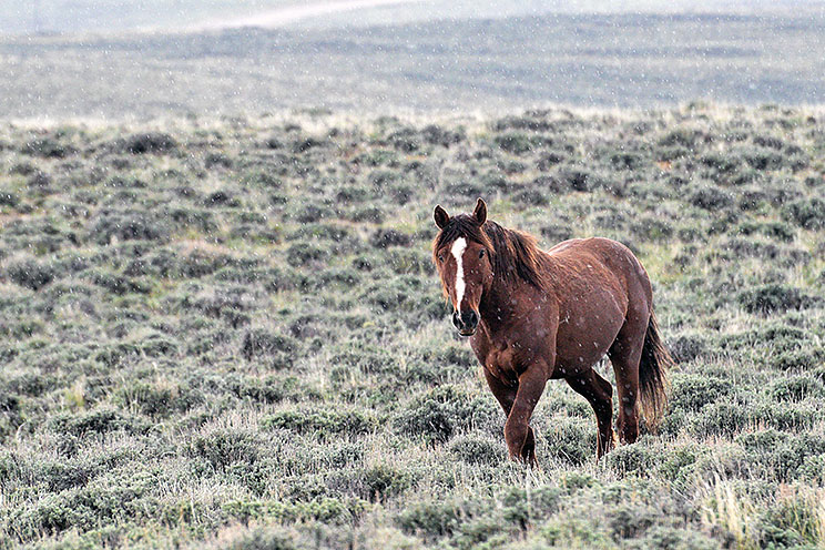 20150509_5626.jpg