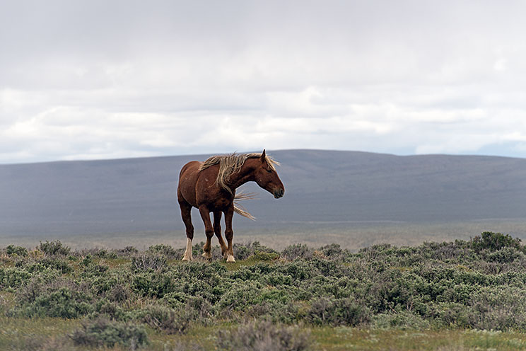 20150516_5723.jpg